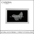 CANOSA beyaz seashell zebra duvar resmi metal çerçeve ile tasarım